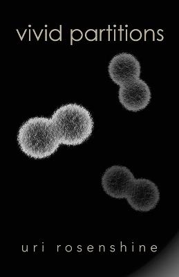 Vivid Partitions - Uri Rosenshine - cover