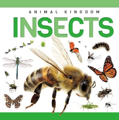 Insects - Rebecca Phillips-Bartlett - cover