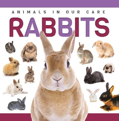Rabbits - Alex Hall - cover