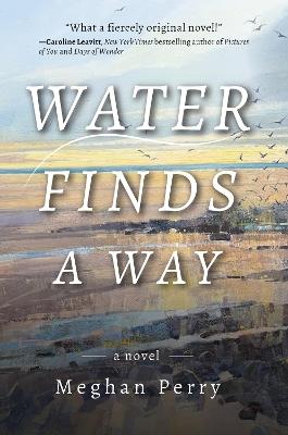 Water Finds a Way a novel - Meghan Perry - cover