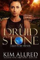 A Druid Stone Large Print - Kim Allred - cover