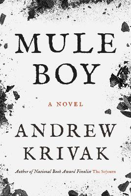 Mule Boy - Andrew Krivak - cover