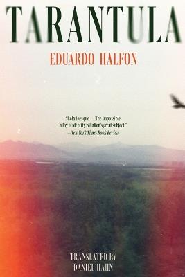 Tarantula - Eduardo Halfon - cover