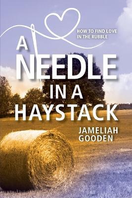 A Needle in a Haystack: How to Find Love in the Rubble - Jameliah Gooden - cover