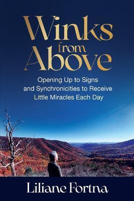 Winks from Above: Opening Up to Signs and Synchronicities to Receive Little Miracles Each Day - Liliane Fortna - cover