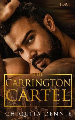 Torn: A Forbidden Age Gap Dark Mafia Romance - Chiquita Dennie - cover