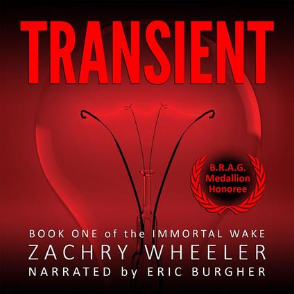 Transient: A Tech Noir Novel