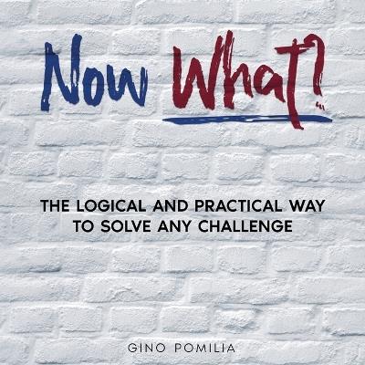 Now What?: The Logical and Practical Way to Solve any Challenge - Gino Pomilia - cover