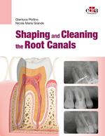 Shaping and Cleaning the Root Canals