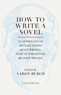 How to Write a Novel: An Anthology of 20 Craft Essays About Writing, None of Which Ever Mention Writing - cover