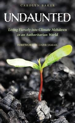 Undaunted - Carolyn Baker - cover