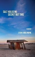 Salt Holds No Secrets But This - Steve Brisendine - cover