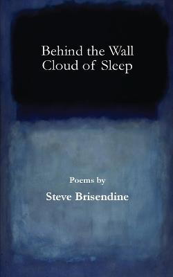 Behind the Wall Cloud of Sleep - Steve Brisendine - cover