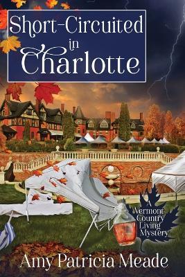 Short-Circuited in Charlotte - Amy Patricia Meade - cover