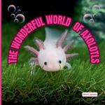 The Wonderful World of Axolotls: Interesting Facts About Axolotls