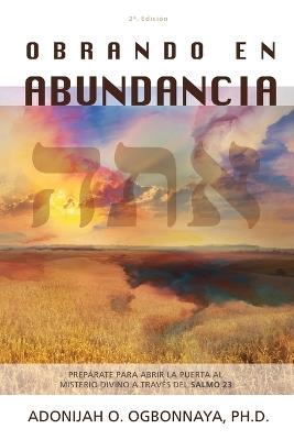 Obrando En Abundancia - Adonijah O Ogbonnaya - cover