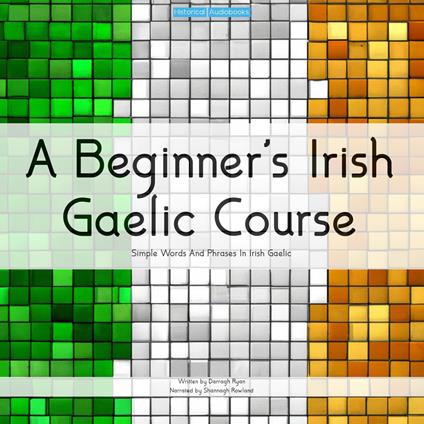 Beginner's Irish Gaelic Course, A