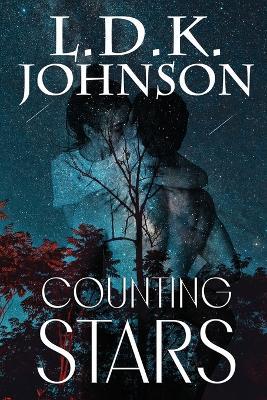 Counting Stars - L D K Johnson - cover