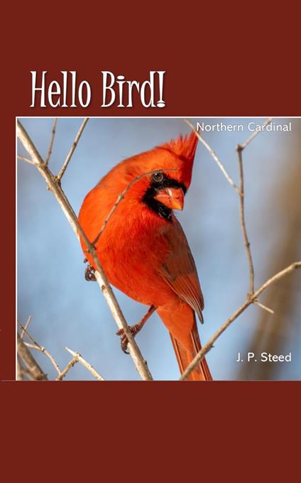 Northern Cardinal - J. P. Steed - ebook