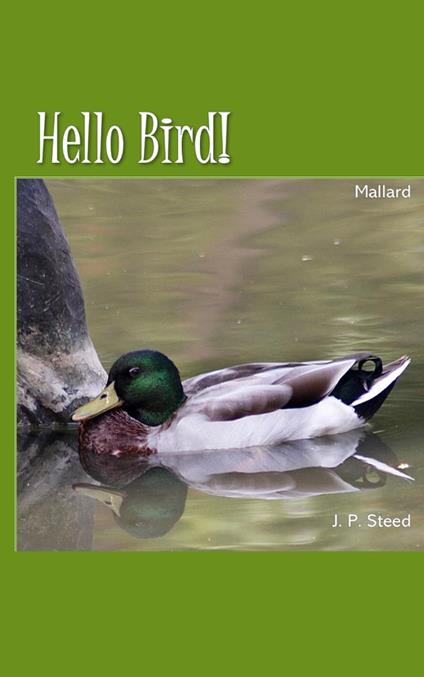 Mallard - J. P. Steed - ebook
