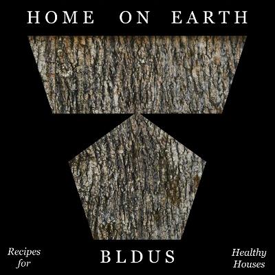 Home on Earth: Recipes for Healthy Houses - Andrew Linn - cover
