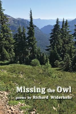 Missing the Owl - Richard Widerkehr - cover
