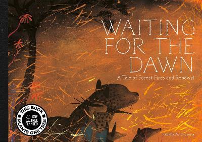Waiting for The Dawn - Fabiola Anchorena - cover