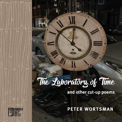 The Laboratory of Time - Peter Wortsman - cover