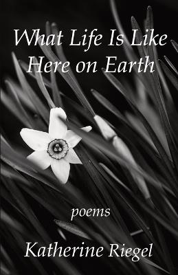 What Life Is Like Here on Earth - Katherine Riegel - cover