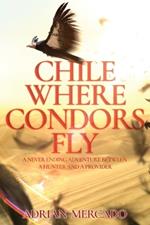 Chile Where Condors Fly