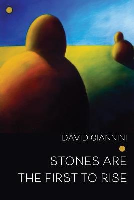 Stones are the First to Rise - David Giannini - cover