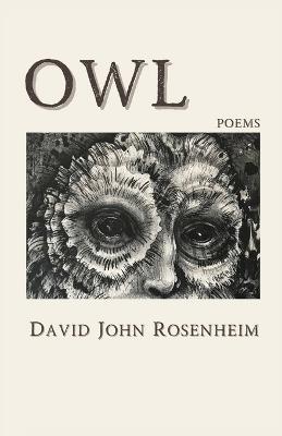Owl - David John Rosenheim - cover