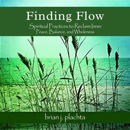 Finding Flow