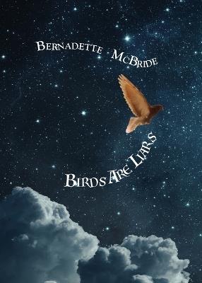 Birds Are Liars - Bernadette McBride - cover