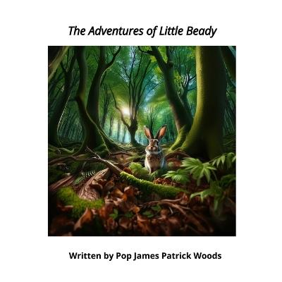 The Adventures of Little Beady - James P Woods - cover