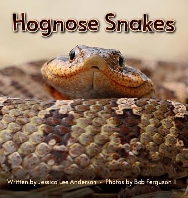 Hognose Snakes - Jessica Lee Anderson - cover