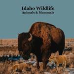 Idaho Animals and Mammals Kids Wildlife Book: Great Idaho Animals book with Lifelike Images and Fun Facts