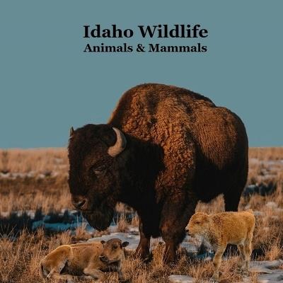 Idaho Animals and Mammals Kids Wildlife Book: Great Idaho Animals book with Lifelike Images and Fun Facts - Kinsey Marie,Billy Grinslott - cover