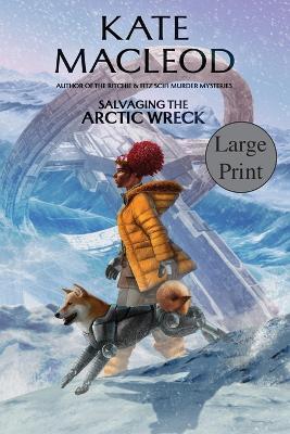 Salvaging the Arctic Wreck - Kate MacLeod - cover