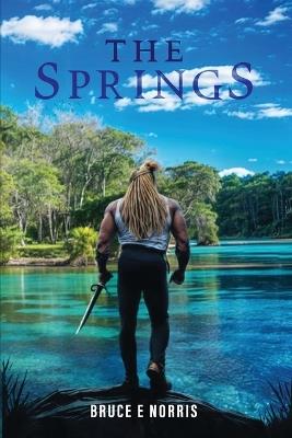 The Springs - Bruce E Norris - cover