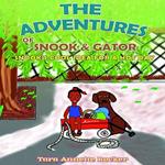 Adventures of Snook and Gator, The: Snook’S Cool Idea for a Hot Day