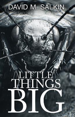 Little Things Big - David M Salkin - cover