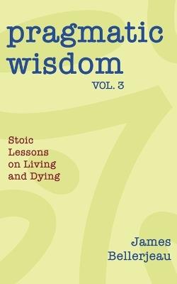 Pragmatic Wisdom Vol. 3 - James Bellerjeau - cover
