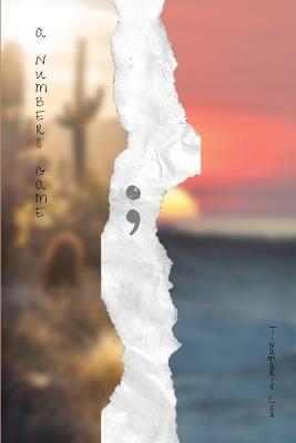 A Numbers Game - Tinamarie Cox - cover