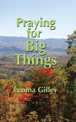 Praying for Big Things: Using God's Word to guide in Praying for the BIG issues in our world - Leoma G Gilley - cover