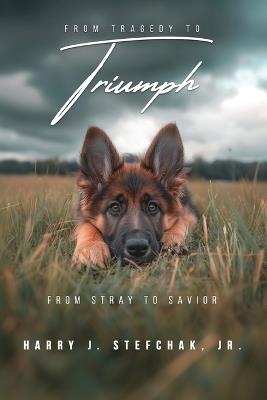 From Tragedy to Triumph - Harry J Stefchak - cover