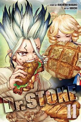 Dr. STONE, Vol. 11: First Contact - Riichiro Inagaki - cover