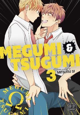 Megumi & Tsugumi, Vol. 3 - Mitsuru Si - cover