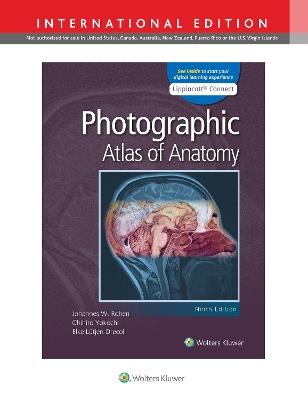 Photographic Atlas of Anatomy - Johannes W. Rohen,Chihiro Yokochi,Elke Lutjen-Drecoll - cover