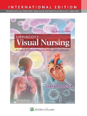Lippincott Visual Nursing: A Guide to Clinical Diseases, Skills, and Treatments - DEBRA P. KANTOR - cover